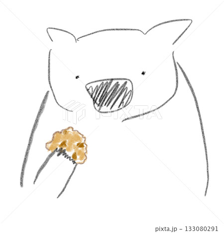 チョコチップクッキーを食べるウォンバットのイラスト チョコチップクッキーを食べるウォンバットのイラスト 133080291