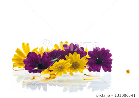 Yellow and purple flowers on white background Yellow and purple flowers on white background 133080341