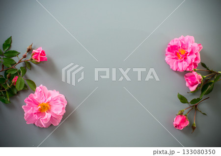 Pink petals and branches with buds 133080350