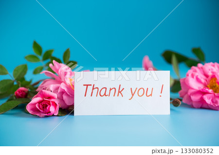 Rose flowers on a smooth pastel surface with gratitude 133080352