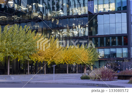 A modern business center with a glass facade and yellow autumn trees A modern business center with a glass facade and yellow autumn trees 133080572