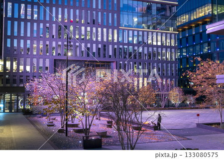 An evening view of a business center with modern glass and steel architecture and a square with a flowerbed next to it. 133080575
