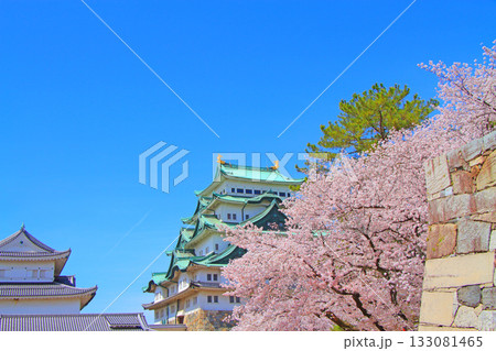 愛知県名古屋市、満開の桜と名古屋城の風景 愛知県名古屋市、満開の桜と名古屋城の風景 133081465