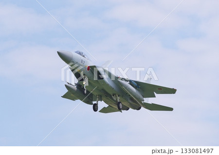 着陸態勢の航空自衛隊のF-15J 着陸態勢の航空自衛隊のF-15J 133081497