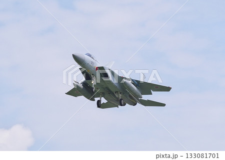 着陸態勢の航空自衛隊のF-15J 着陸態勢の航空自衛隊のF-15J 133081701