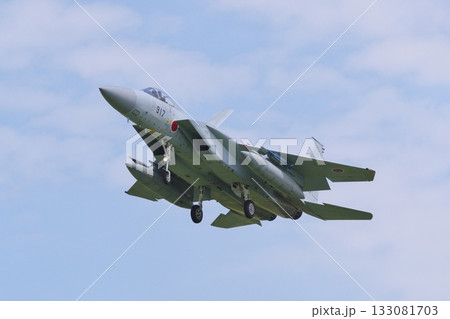 着陸態勢の航空自衛隊のF-15J 着陸態勢の航空自衛隊のF-15J 133081703