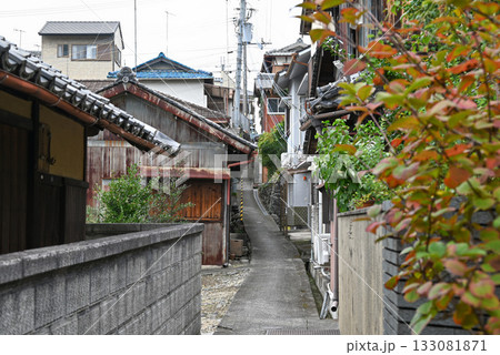 【和歌山県伊都郡】九度山・真田の里の風景 133081871
