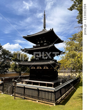 興福寺 関連史跡 興福寺 関連史跡 133081994