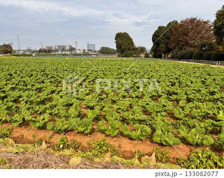 何気ない日常の風景 133082077
