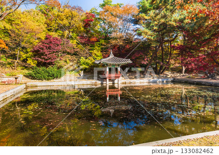 秋のソウル　昌徳宮　後苑 133082462