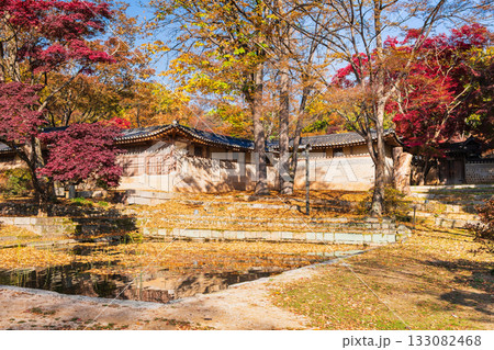 秋のソウル　昌徳宮　後苑 133082468
