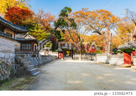 秋のソウル　昌徳宮　後苑 133082473