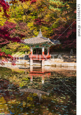秋のソウル　昌徳宮　後苑 133082475