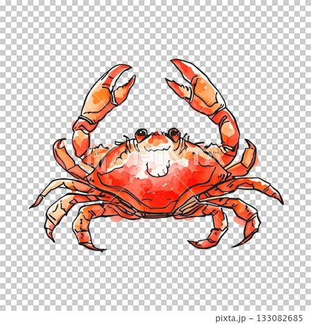 雪蟹水彩插圖 133082685