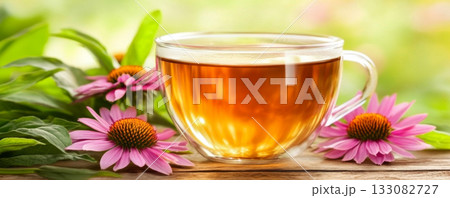 Herbal Echinacea Tea with Fresh Flowers on Wooden Table 133082727