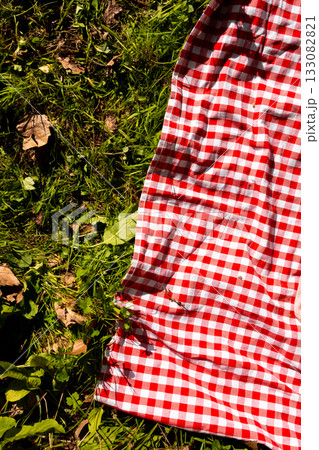 Red checkered picnic blanket on green grass in sunlit park Red checkered picnic blanket on green grass in sunlit park 133082821