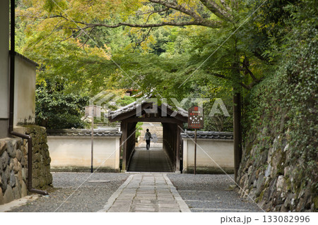 東福寺 偃月橋に繋がる路地2 東福寺 偃月橋に繋がる路地2 133082996