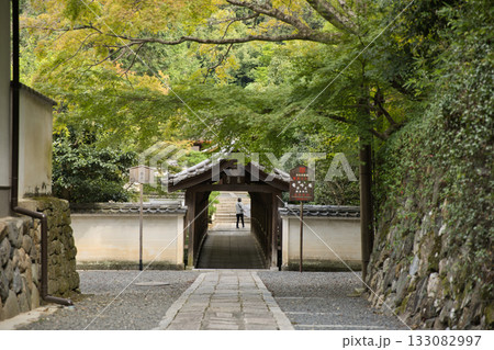 東福寺 偃月橋に繋がる路地1 東福寺 偃月橋に繋がる路地1 133082997