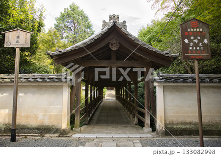 東福寺　北谷に架かる偃月橋1 133082998