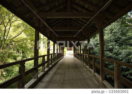 東福寺 朝つかの間静寂に包まれる偃月橋2 東福寺 朝つかの間静寂に包まれる偃月橋2 133083001