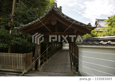 東福寺　竜吟庵から偃月橋を望む2 133083005