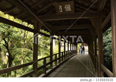 東福寺 説明を聞きながらそぞろ歩く5 東福寺 説明を聞きながらそぞろ歩く5 133083010