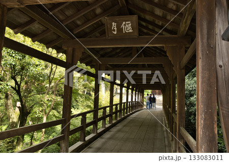 東福寺　説明を聞きながらそぞろ歩く6 133083011