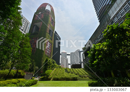 ダウンタウンの高層ビル, シンガポール 133083067
