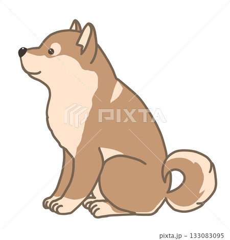 お座りしている柴犬のイラスト 133083095