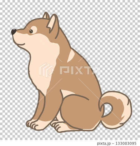 お座りしている柴犬のイラスト 133083095