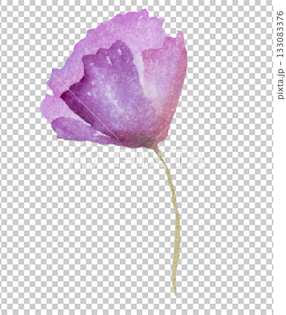 Watercolor pink wild flower isolated illustration, floral wedding and greeting element 133083376