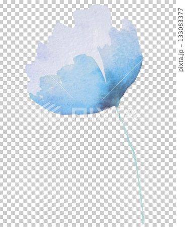 Watercolor light blue wild flower isolated illustration, floral wedding and greeting element Watercolor light blue wild flower isolated illustration, floral wedding and greeting element 133083377