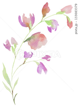 Watercolor pastel pink wild flowers, isolated illustration, floral wedding and greeting element Watercolor pastel pink wild flowers, isolated illustration, floral wedding and greeting element 133083379