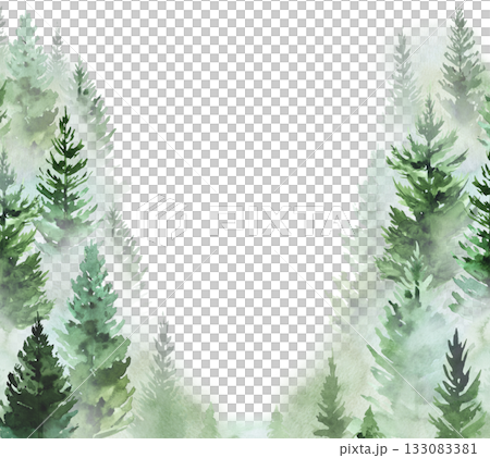 Hand drawn watercolor green spruce or pine tree misty forest, winter isolated illustration, copy space 133083381