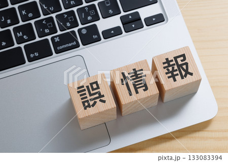 パソコンの上に誤情報と書かれたブロック パソコンの上に誤情報と書かれたブロック 133083394