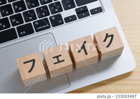 パソコンの上にフェイクと書かれたブロック 133083407