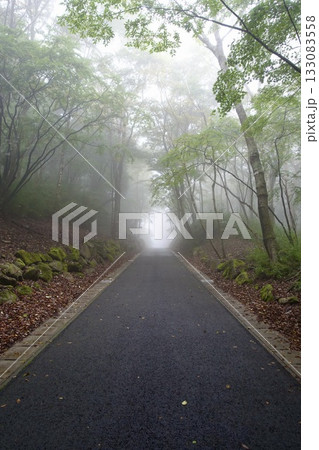 霧に包まれた林道 133083558