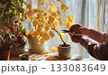 Trimming yellow leaves of potted plant near sunny window. Autumn cozy home garden. Seasonal plant care, pruning and indoor greenery maintenance concept Trimming yellow leaves of potted plant near sunny window. Autumn cozy home garden. Seasonal plant care, pruning and indoor greenery maintenance concept 133083649