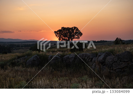 Dramatic golden hour landscape with rocks 133084099