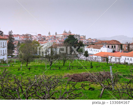 Cityscape skyline Viseu park Portugal 133084167