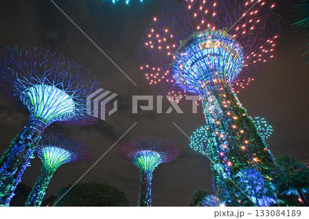 ガーデンズ・バイ・ザ・ベイのカラフルなイルミネーション, シンガポール 133084189