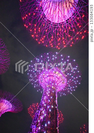 ガーデンズ・バイ・ザ・ベイのカラフルなイルミネーション, シンガポール 133084193