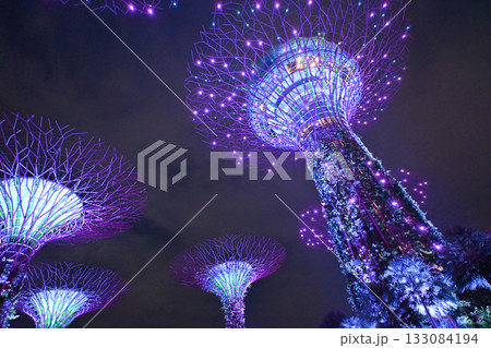 ガーデンズ・バイ・ザ・ベイのカラフルなイルミネーション, シンガポール 133084194