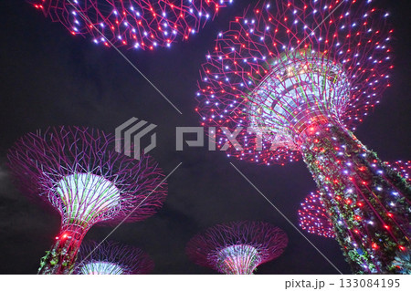 ガーデンズ・バイ・ザ・ベイのカラフルなイルミネーション, シンガポール 133084195