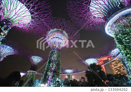 ガーデンズ・バイ・ザ・ベイのカラフルなイルミネーション, シンガポール ガーデンズ・バイ・ザ・ベイのカラフルなイルミネーション, シンガポール 133084202