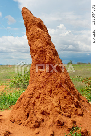 Termite mounds Namibia ants africa Termite mounds Namibia ants africa 133084333