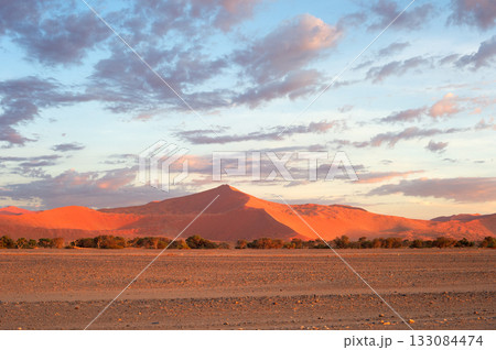 desert sand dunes  Sossusvlei, Namibia 133084474