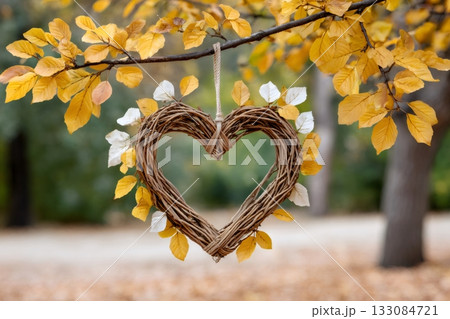 Wicker heart hanging from autumn tree branch 133084721