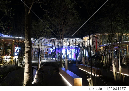 大阪・関西万博(EXPO2025)のドイツ館 大阪・関西万博(EXPO2025)のドイツ館 133085477