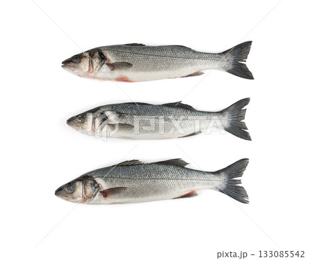 European seabass or Dicentrarchus labrax, whole raw labrax, branzino fish, European bass European seabass or Dicentrarchus labrax, whole raw labrax, branzino fish, European bass 133085542